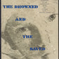 The Drowned and the Saved by Primo Levi front cover