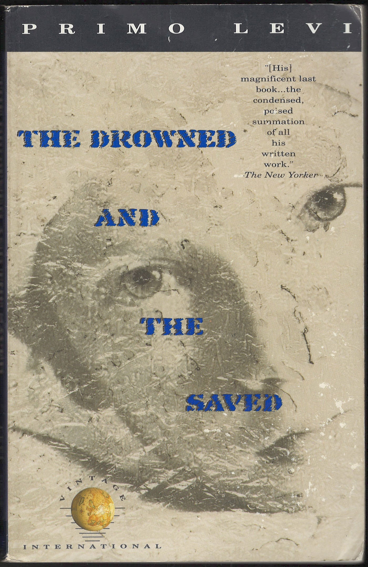 The Drowned and the Saved by Primo Levi front cover