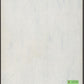 Oral Tradition and Literacy: Changing visions of the world back cover