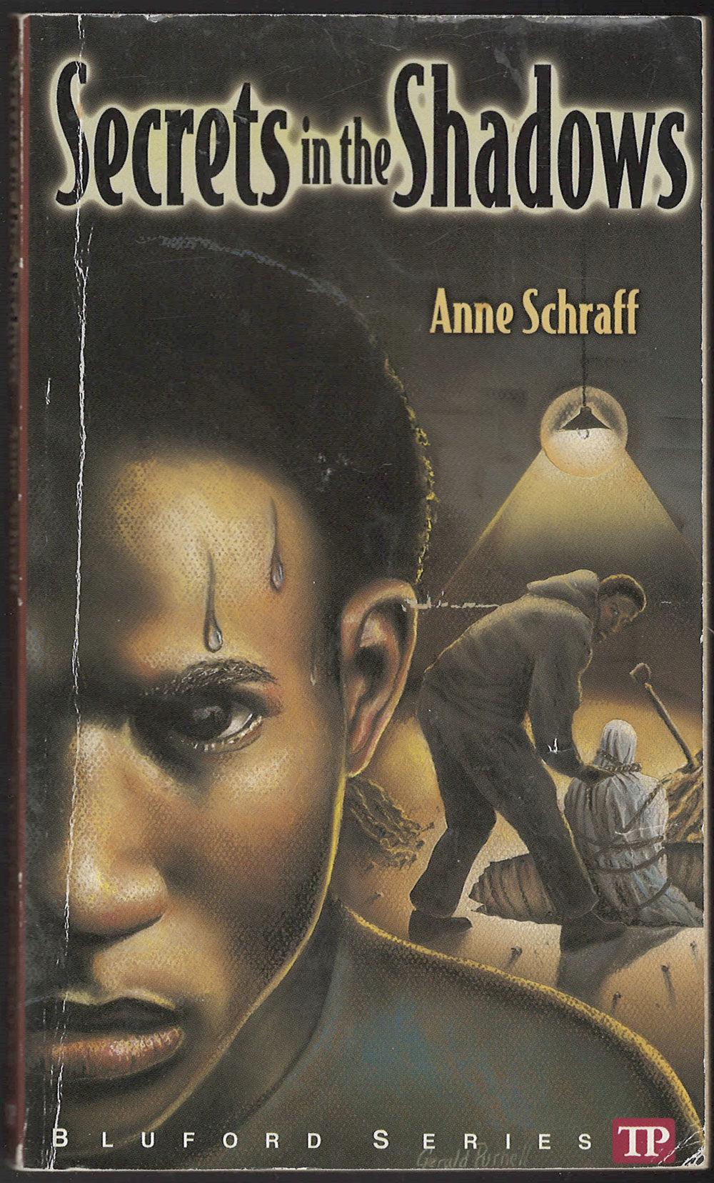 Secrets in the Shadows by Anne Schraff front cover