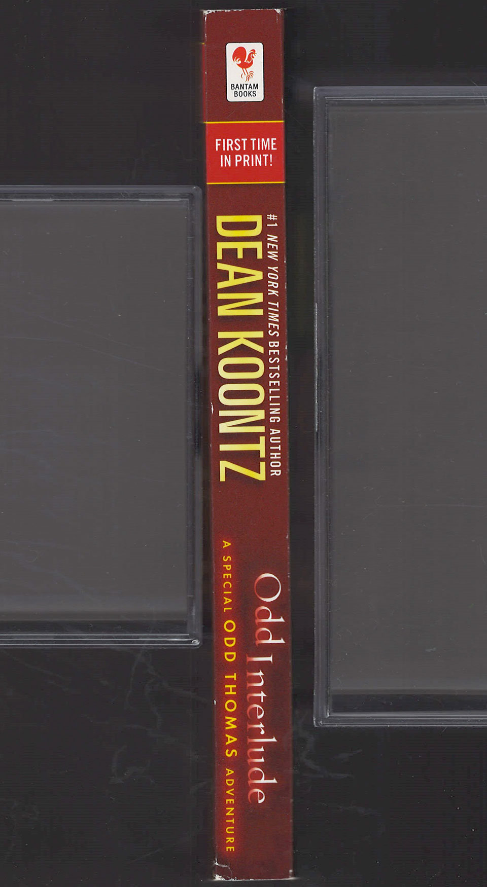 Odd Interlude by Dean Koontz spine