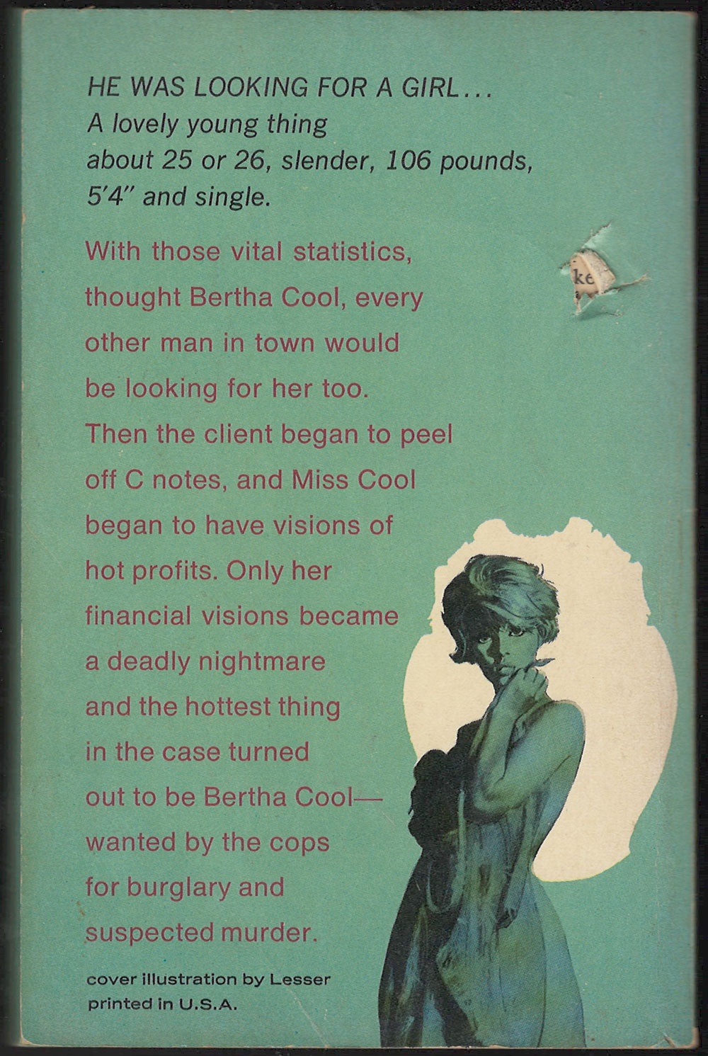 Bats Fly at Dusk by A. A. Fair back cover