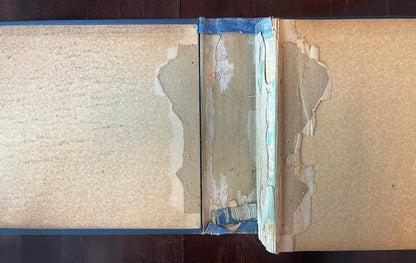 Shepp's World Fair Photographed by James W Shepp and Daniel B Shepp front hinge