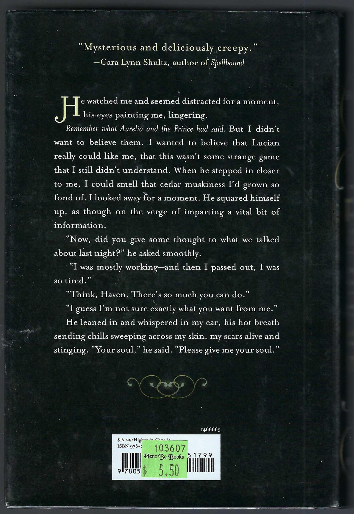 Illuminate by Aimee Agresti back cover