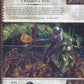 Lost Empires of Faerûn back cover