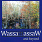 Wassamassaw and Beyond front cover