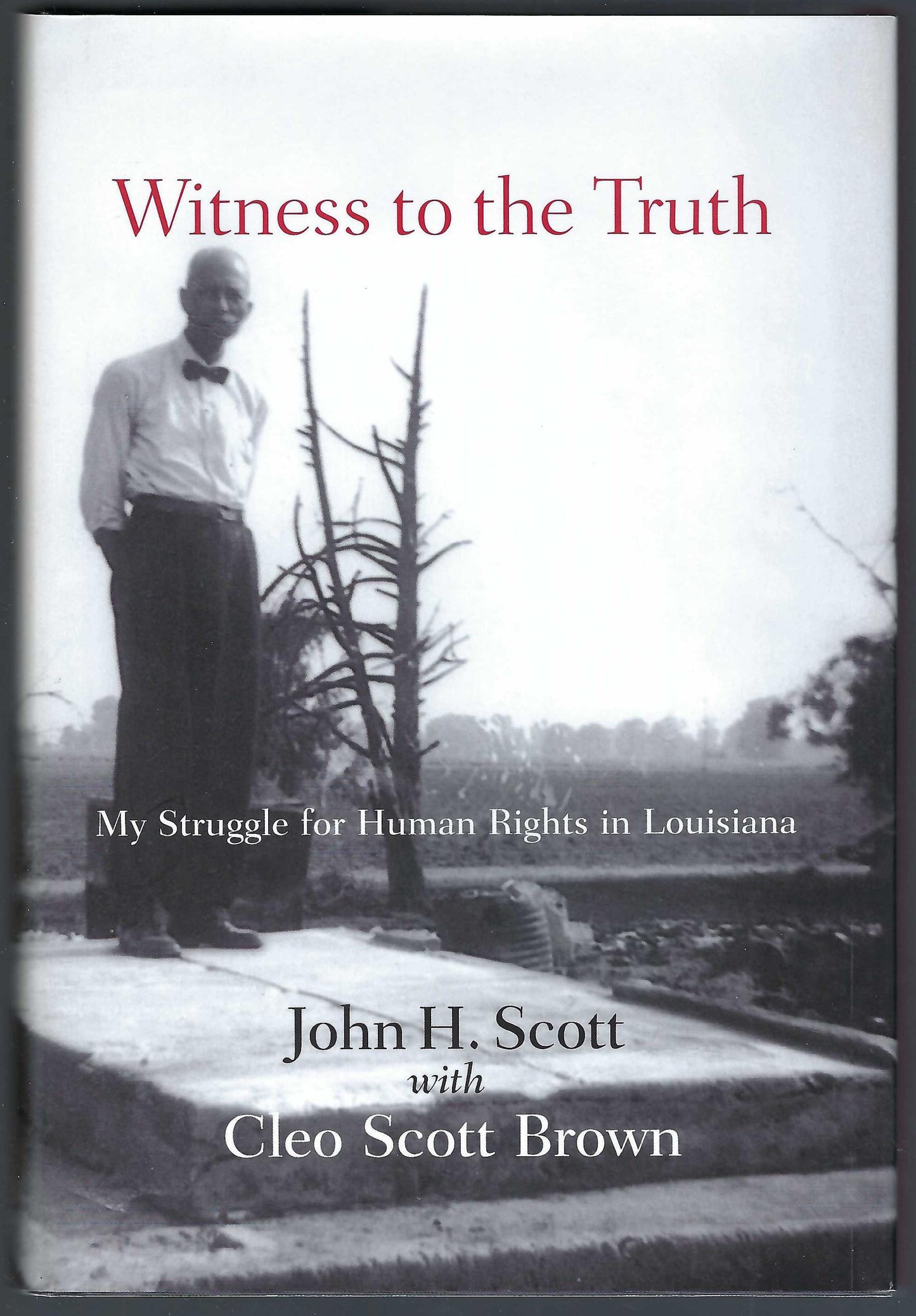 Witness to the Truth front cover