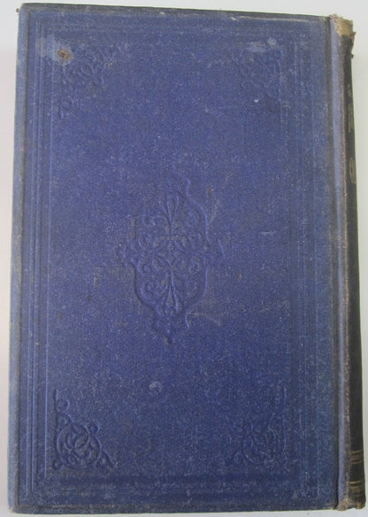 Sketches of Travel in the Old and New World by George W. Williams back cover