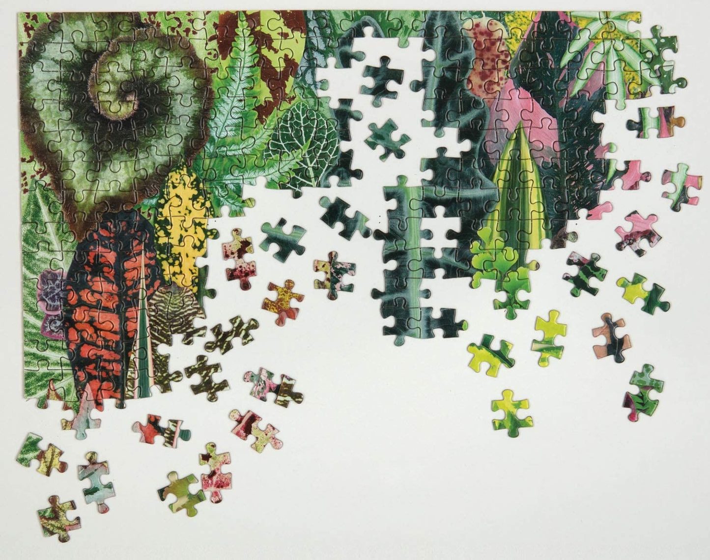 Houseplant Jungle 1000 Piece Jigsaw Puzzle