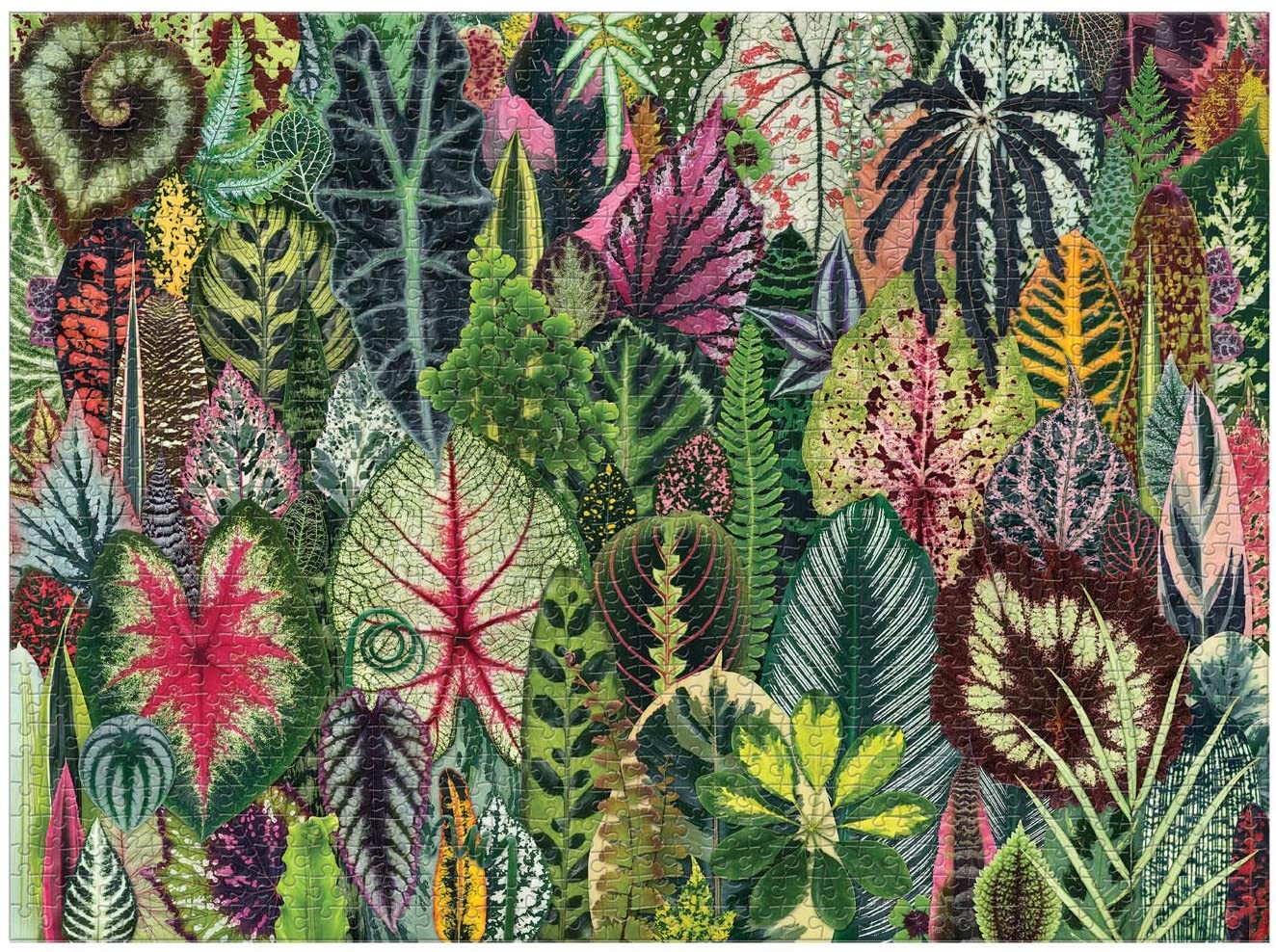 Houseplant Jungle 1000 Piece Jigsaw Puzzle